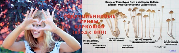 герыч Нея