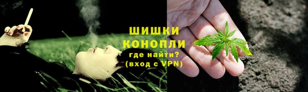 PSILOCYBIN Верхний Тагил