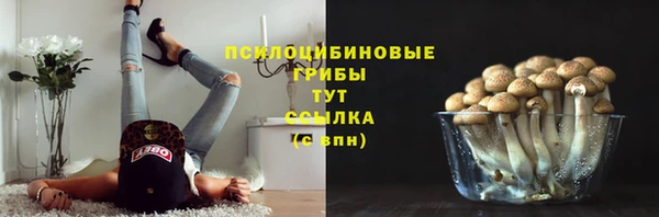 MDMA Новодвинск