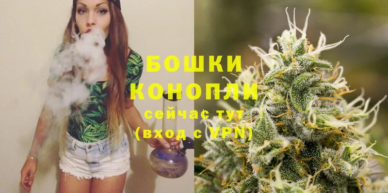 Шишки марихуана White Widow  закладки  Ковылкино 